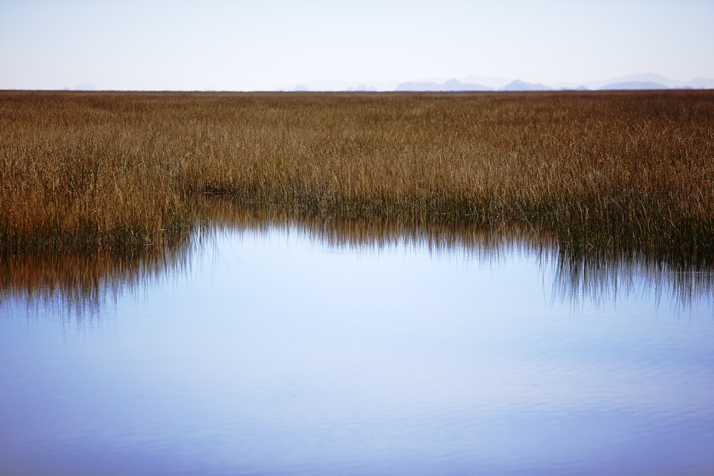 Titicaca