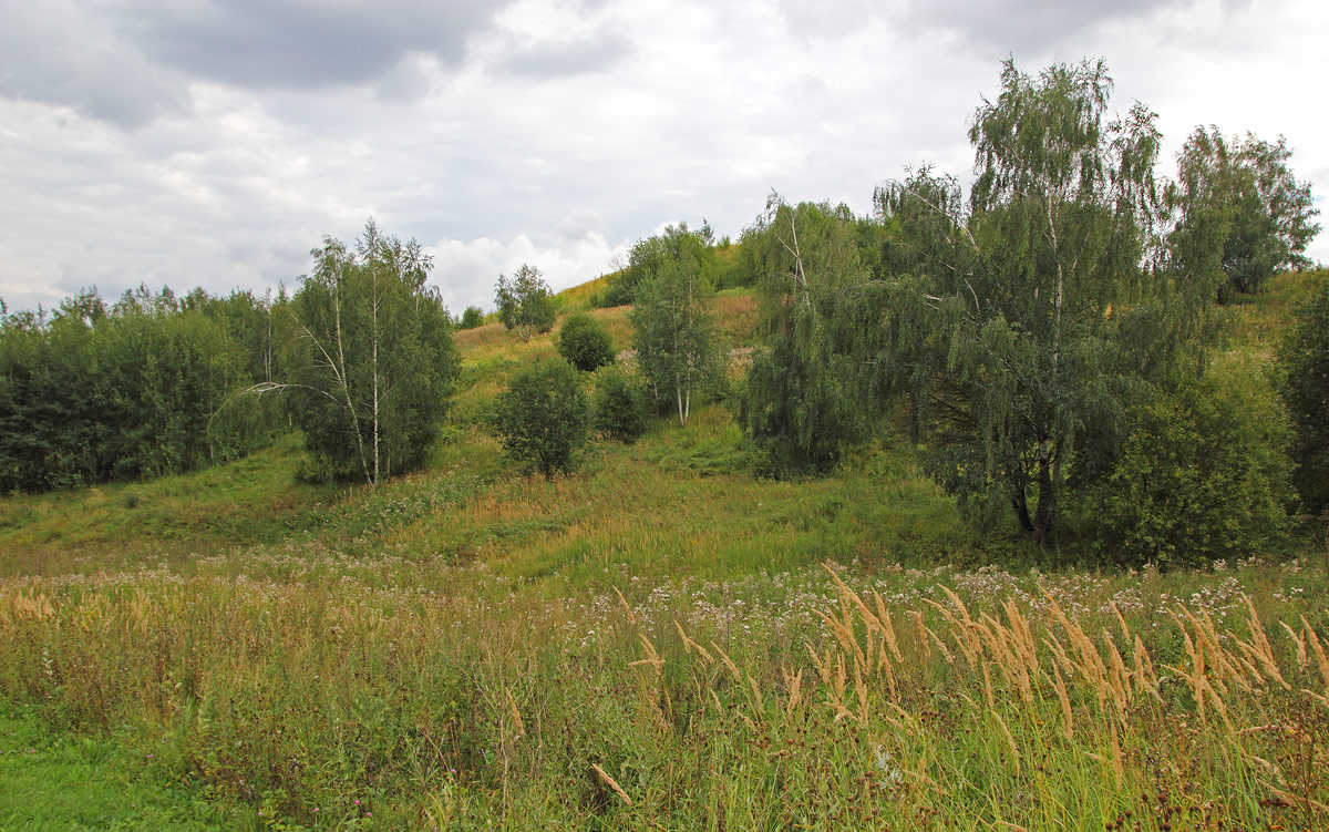 На Крылатских холмах