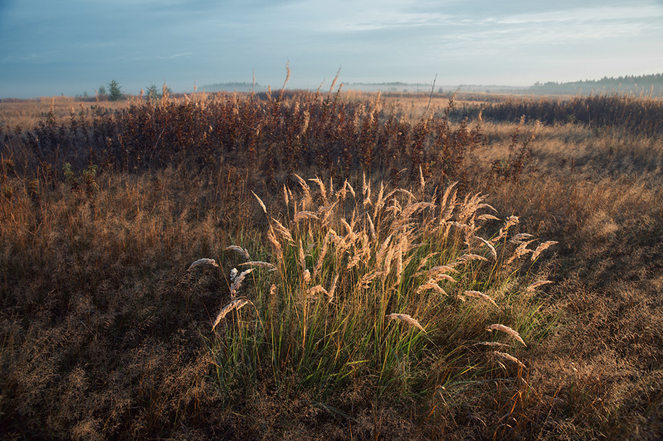 120827-_DSC9928.jpg