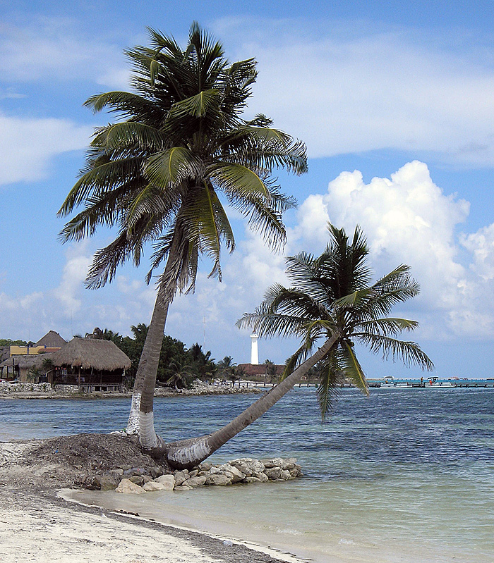 ***costa maya