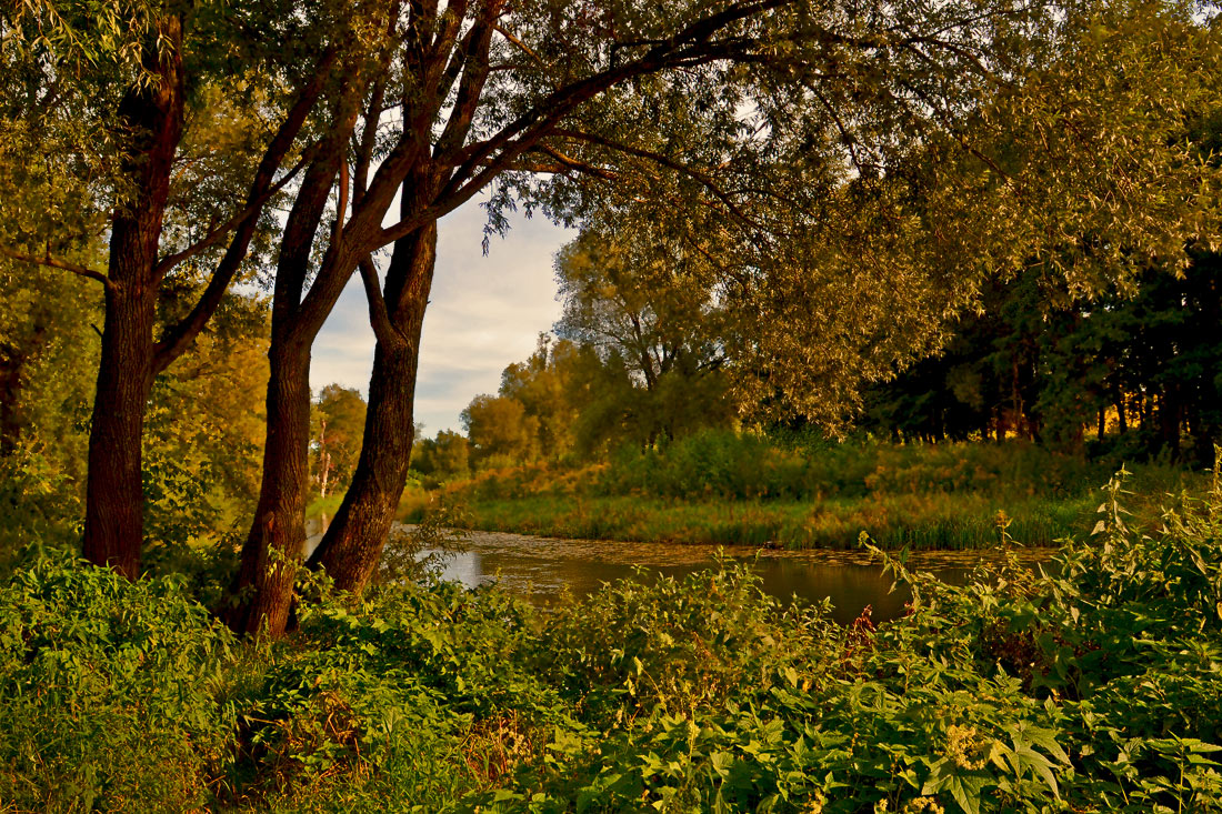 Осенняя зарисовка