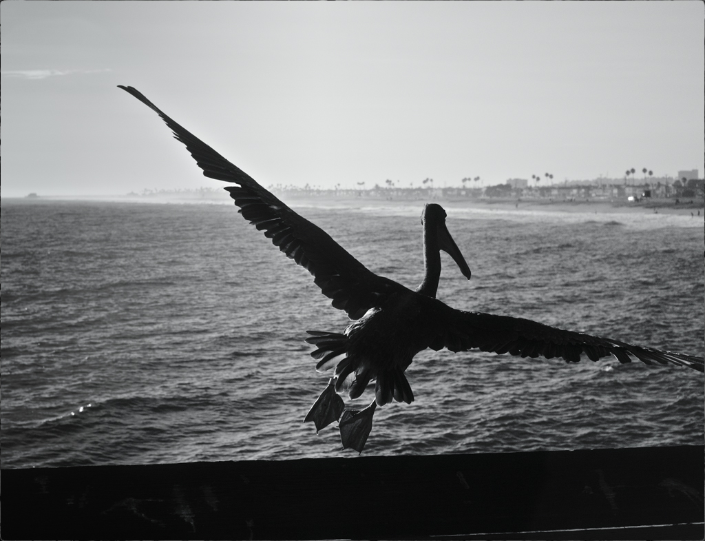 Balboa pier. Newport beach. California.