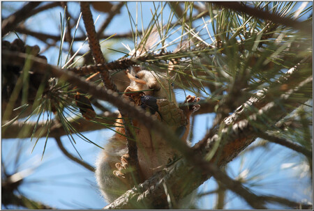 Обеденные будни [29344]