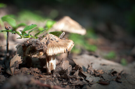 на солнышке