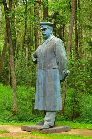 Сталин в лесу