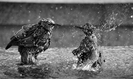 Про водные процедуры