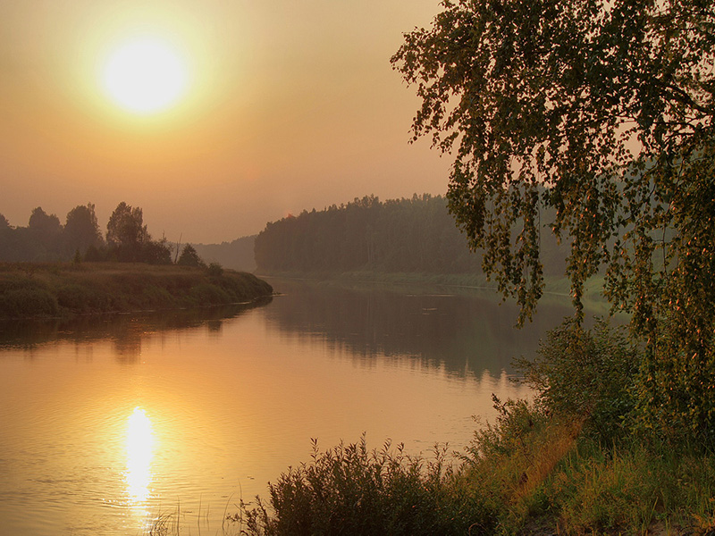 Жаркий вечер