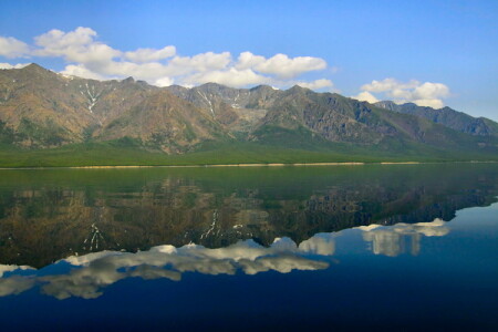 тест