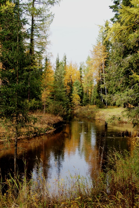 осенний пейзаж