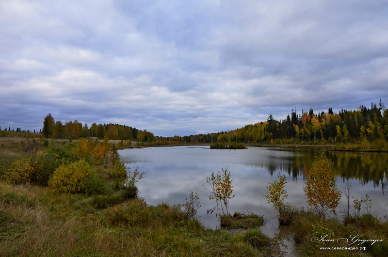 Осень