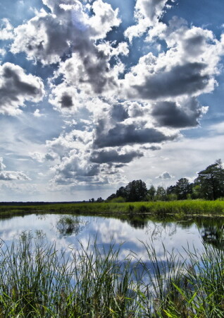 Предгрозовое