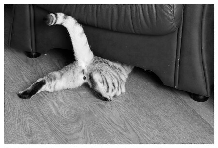 улепётывать..