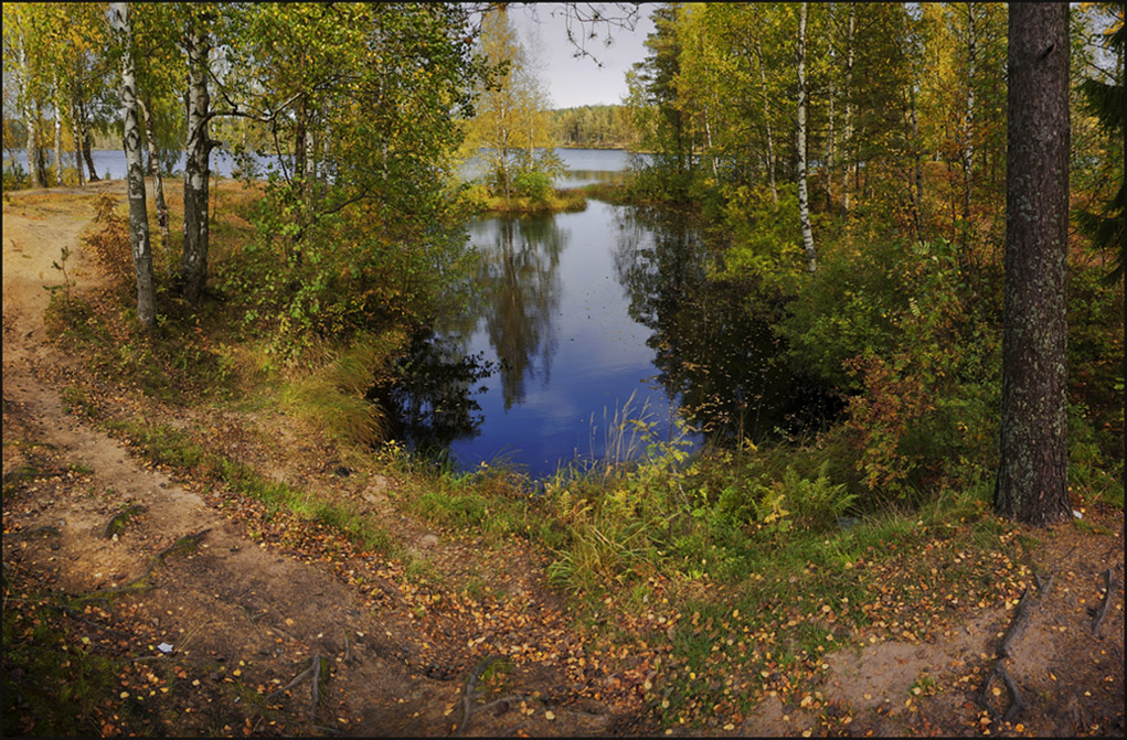 Осенняя композиция.