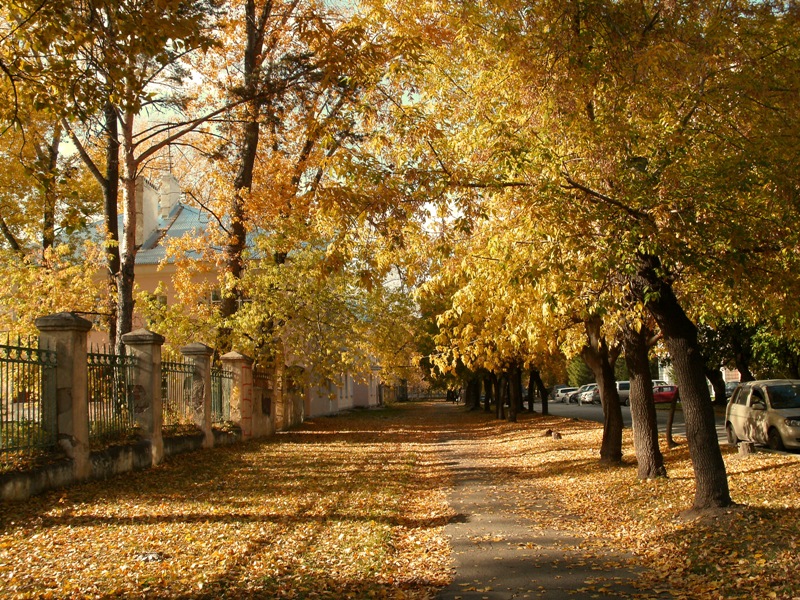 город золотой