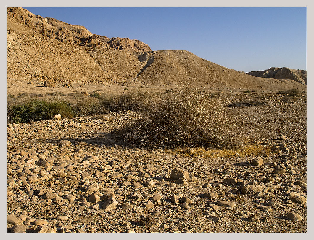 Judaean Desert