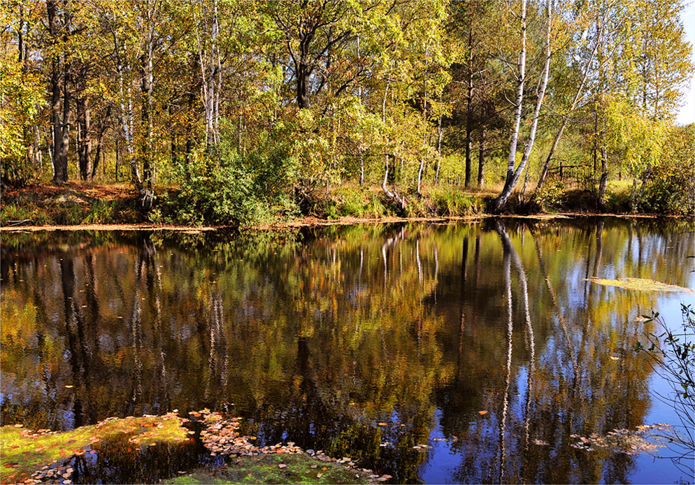 Краски осени