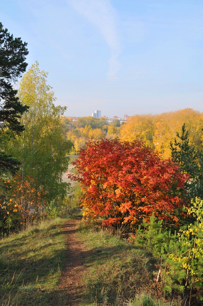 Осенняя зарисовка (3)