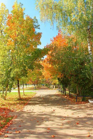 осень