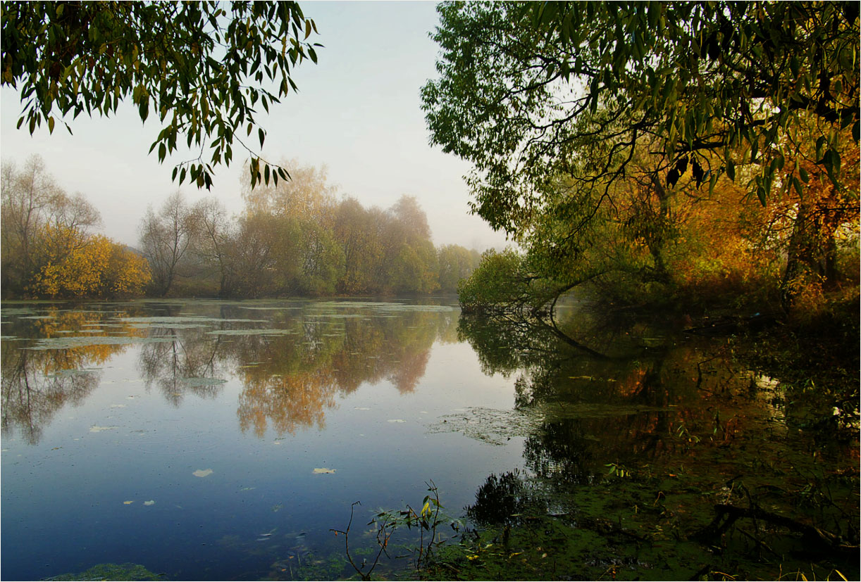 Осени краски