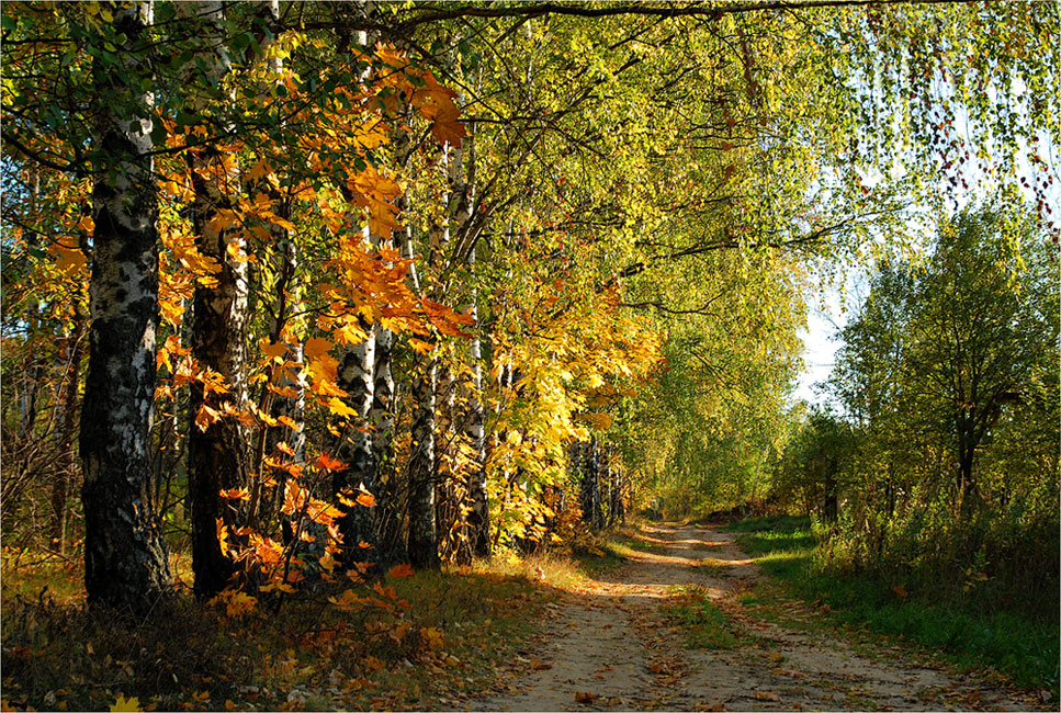 Солнечная осень