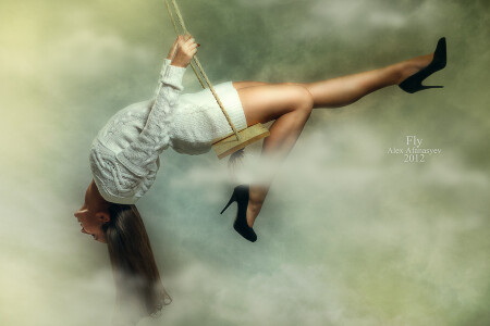 Fly