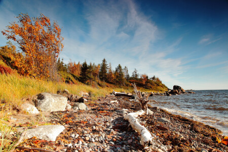 Обласканный ветрами