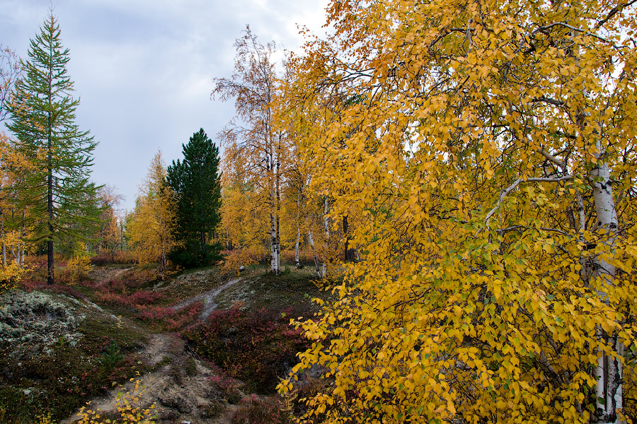 осень