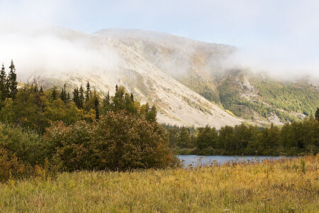 На берегу горной реки