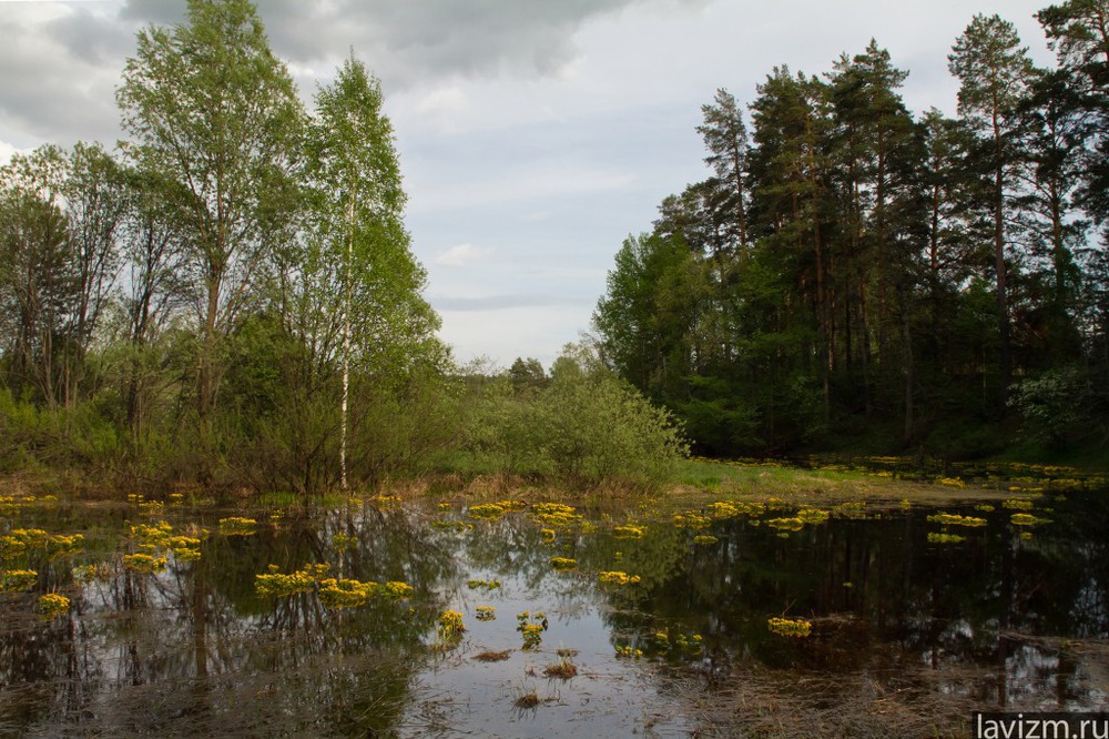 Река Сатис Лавизм