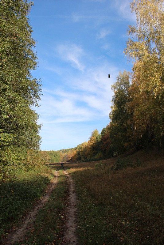 Осенний пейзаж