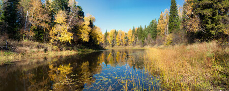Осень золотая