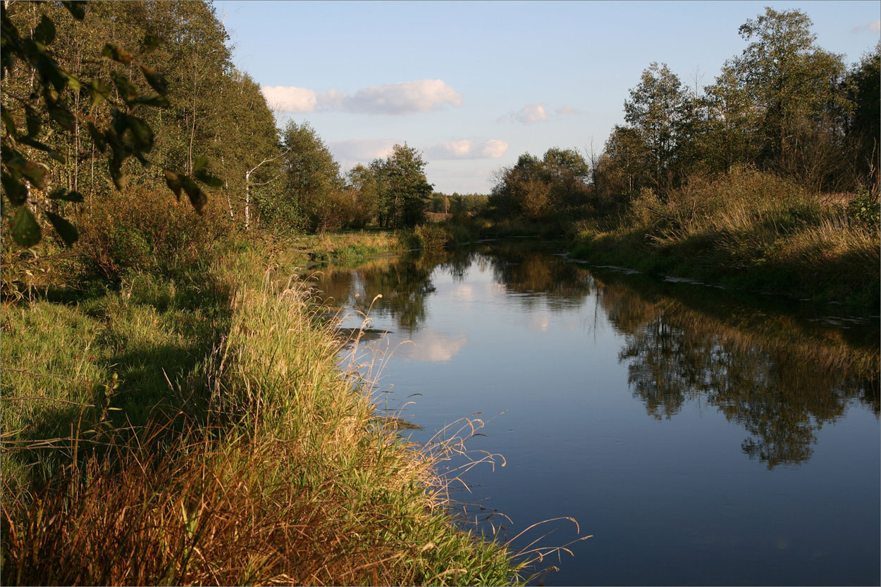 Когда-то здесь водились раки...