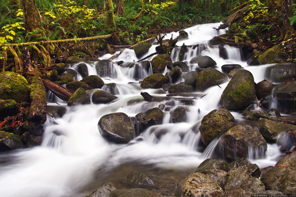 Not far from Wallece Falls, WA, USA