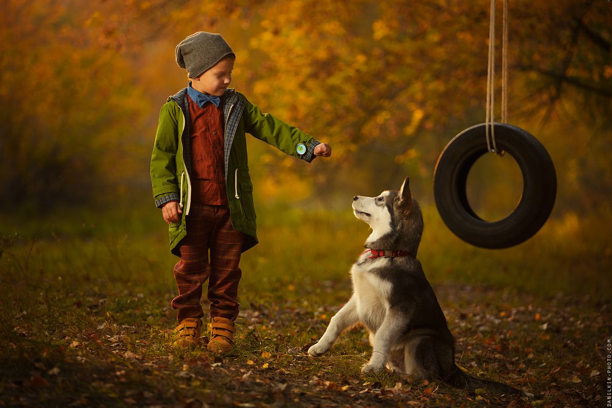 Мальчик с собакой описание