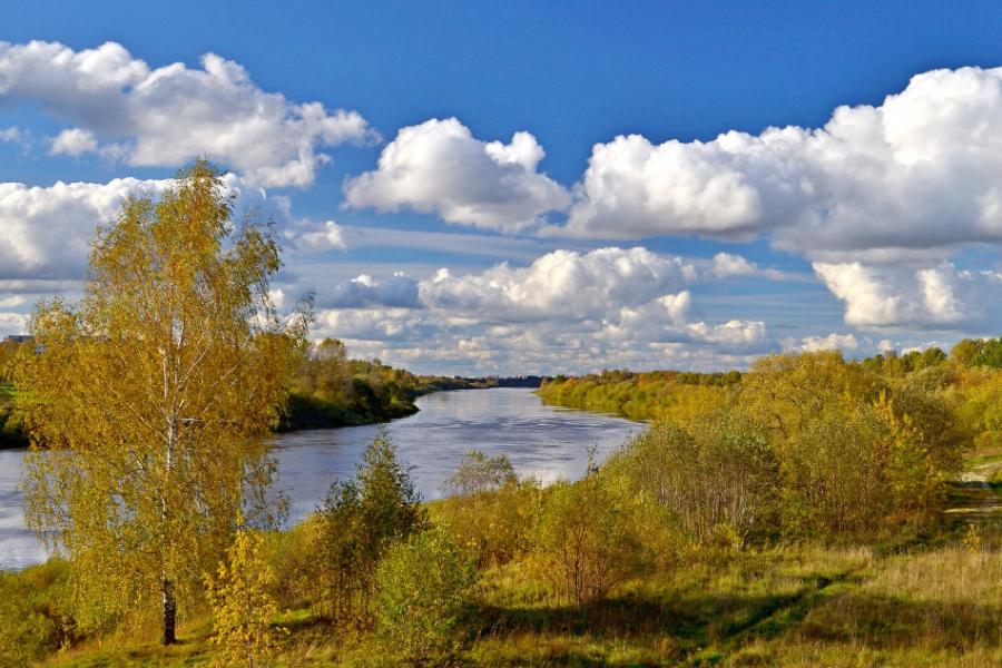 осенний пейзаж