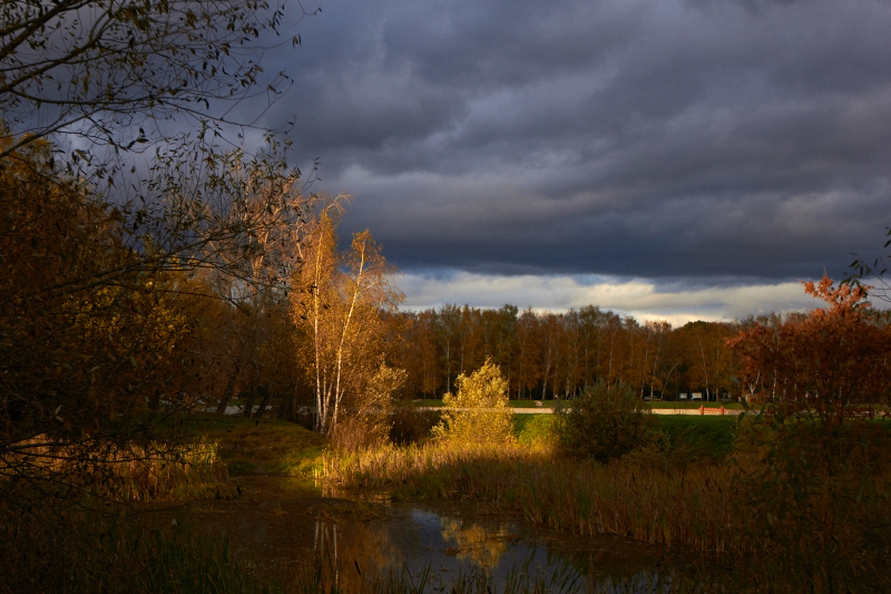 Осень