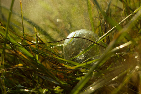 Когда естественного света мало