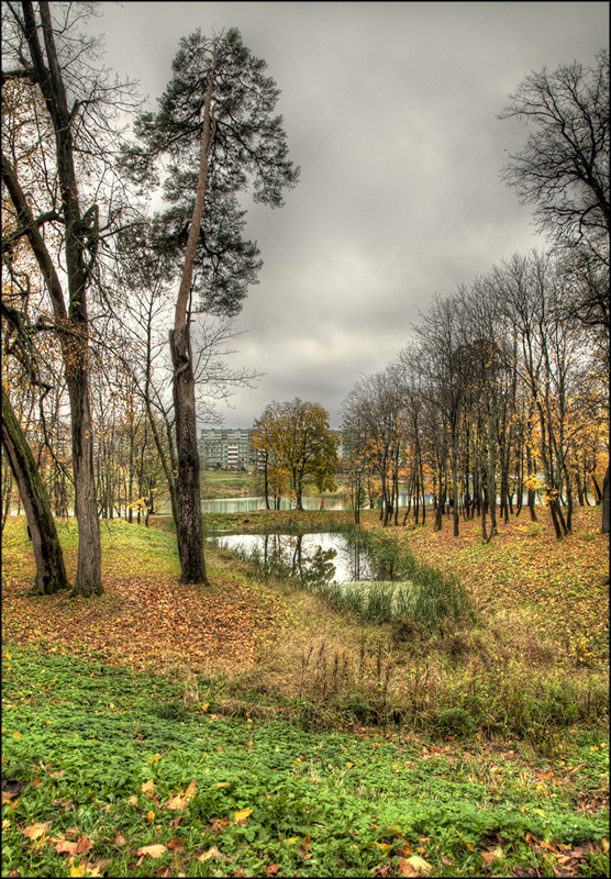 В парке