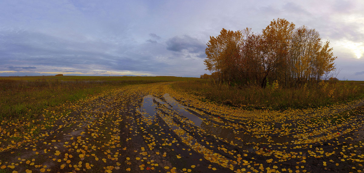 По лесной дороге