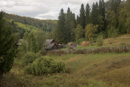 Где молоко самое сладкое