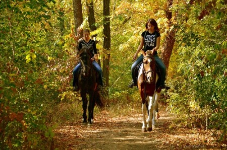 Прогулка по осеннему лесу