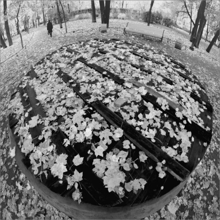 Торт &amp;quot;Осень&amp;quot;