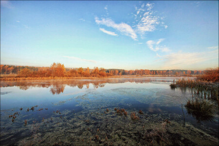 у воды