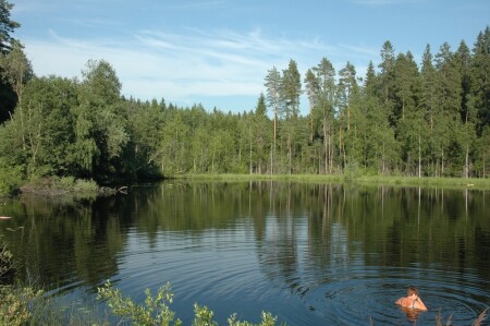 Озеро в Карелии