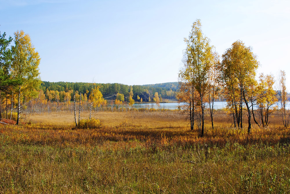 Осенний день