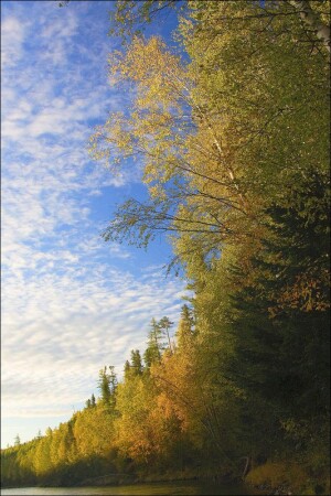 Осень на Тагуле