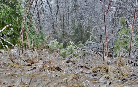 Стеклянный мир...