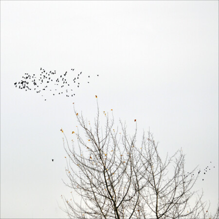 Пролетая над...