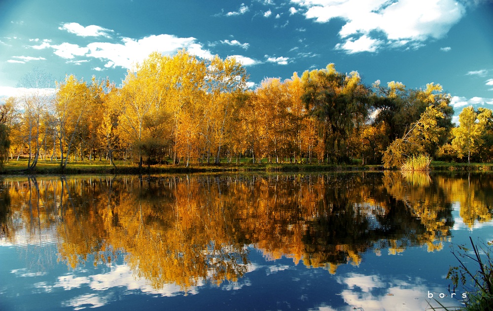 Autumn in Moldova