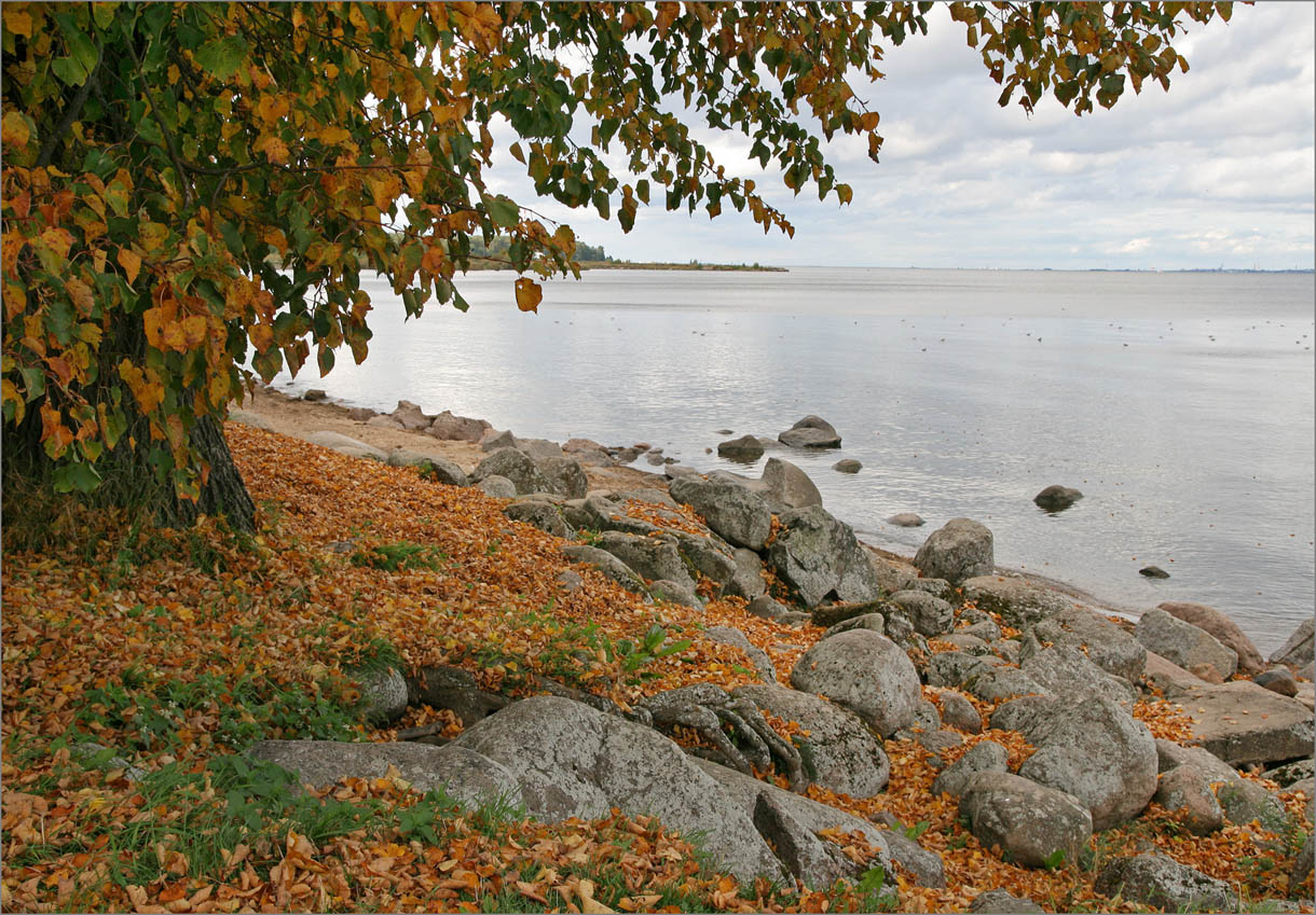 Финский залив. Затишье.